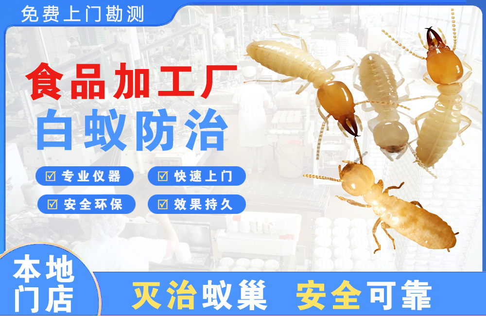 白沙食品加工厂白蚁防治
