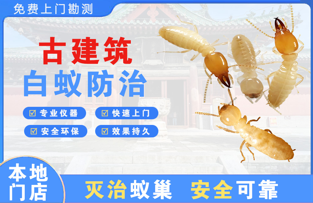 白沙古建筑白蚁防治
