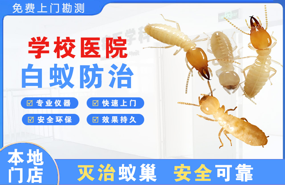 白沙学校医院白蚁防治