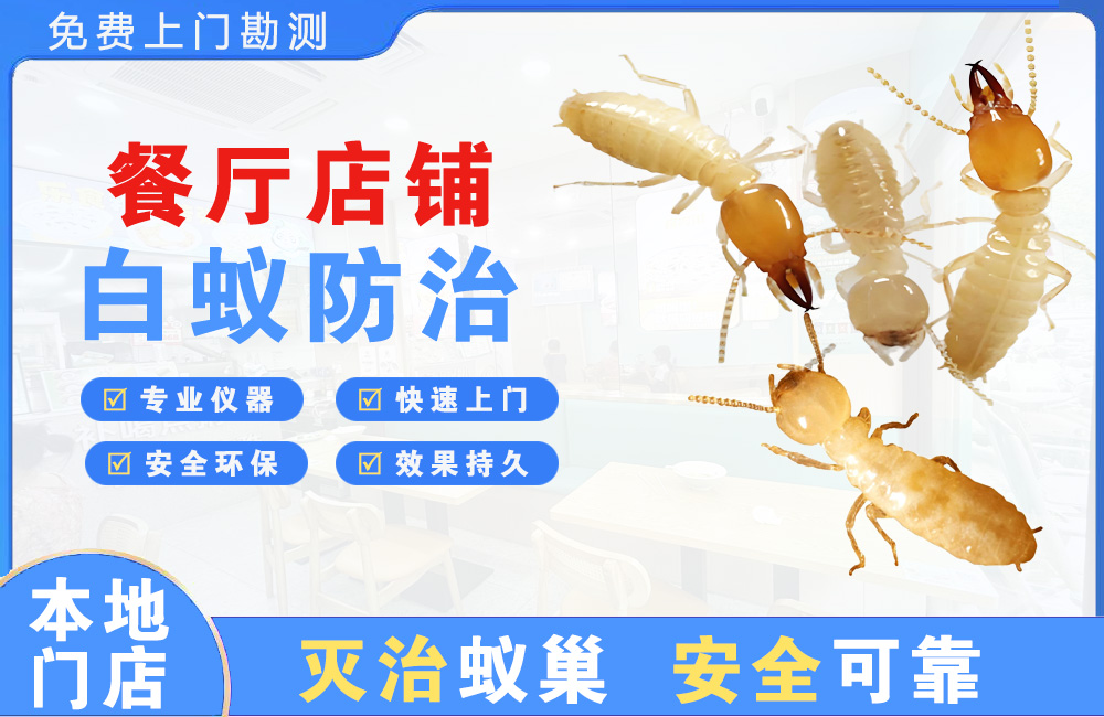 白沙餐厅店铺白蚁防治